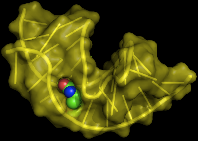 Файл:Aptamer biotin.png